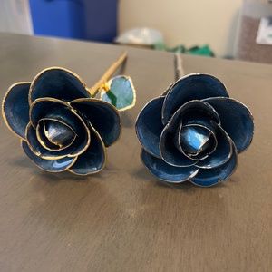 Steven Singer Gold Dipped Roses
